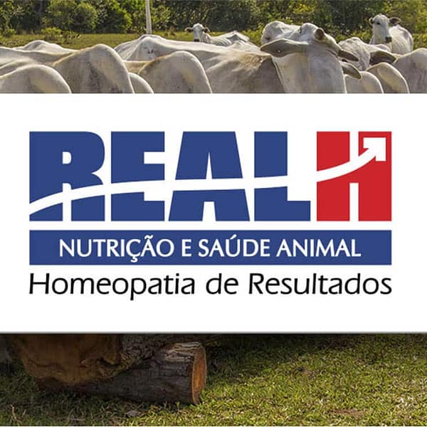 2bemkt-cliente-consultoria-marketing-digital-realh